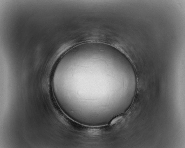 X0000088150055200705211204