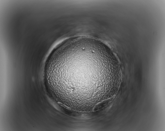 X0000088150056200705211204