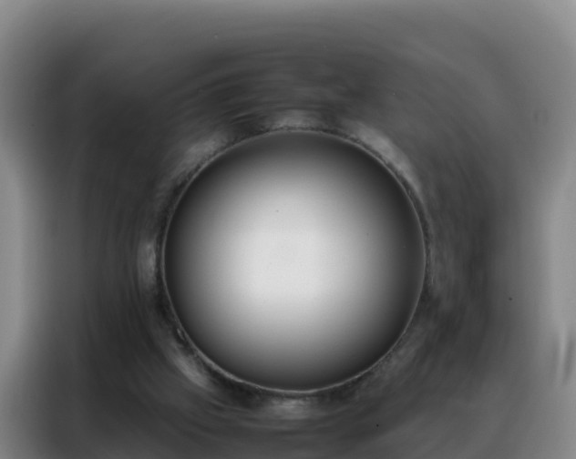 X0000088150057200705211204