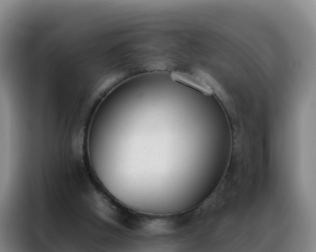 X0000088150058200705211204