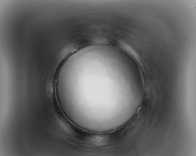 X0000088150059200705211204