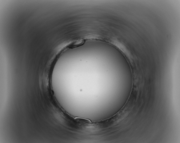 X0000088150060200705211204