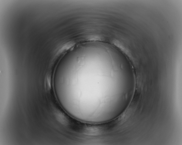 X0000088150062200705211204