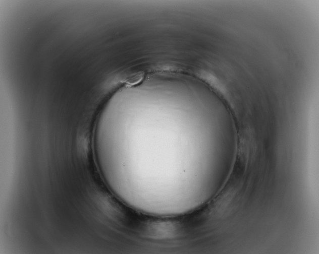 X0000088150063200705211204