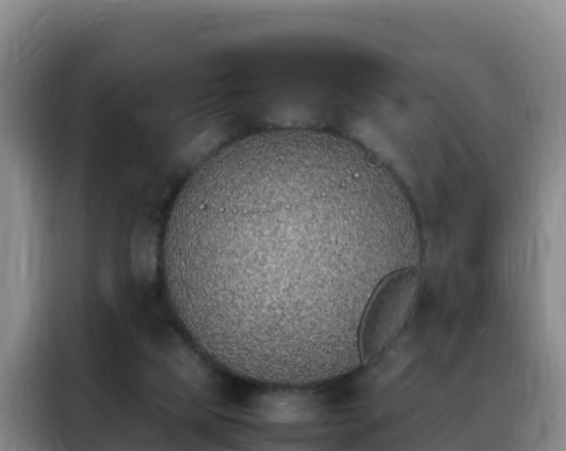 X0000088150065200705211204