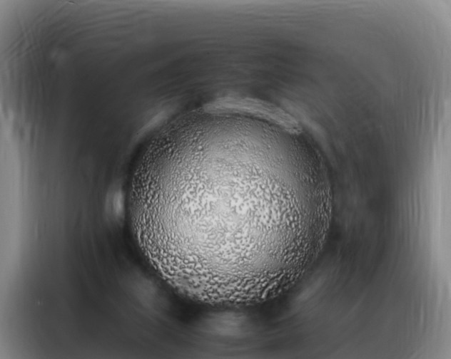 X0000088150067200705211205