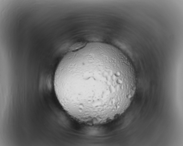 X0000088150069200705211205