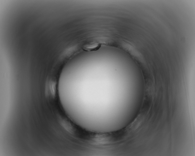 X0000088150070200705211205