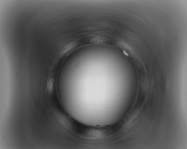 X0000088150071200705211205