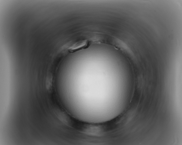 X0000088150073200705211205