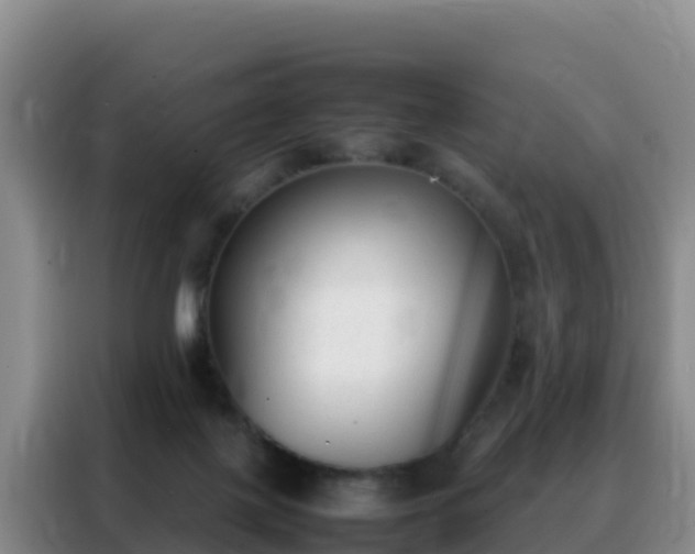 X0000088150075200705211205