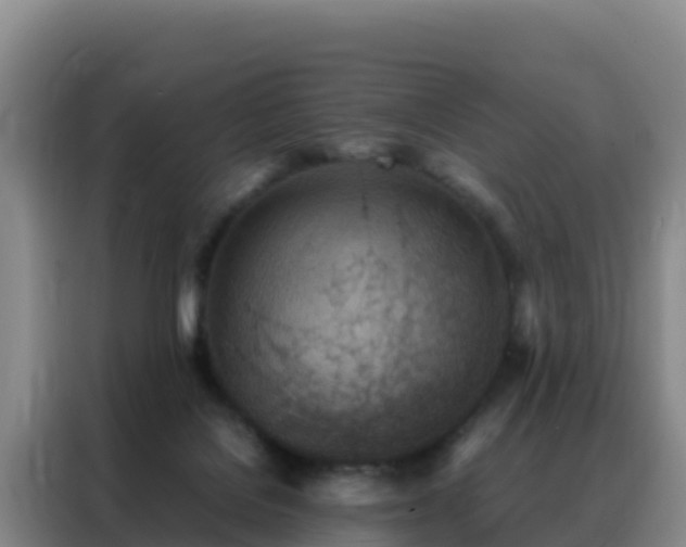 X0000088150076200705211205