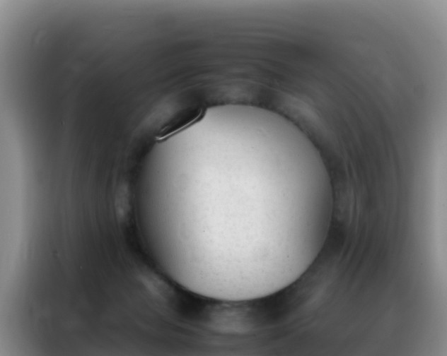 X0000088150077200705211205