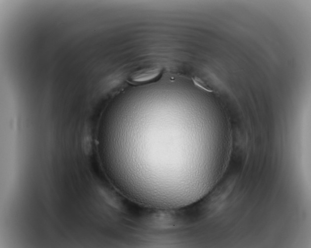 X0000088150080200705211205