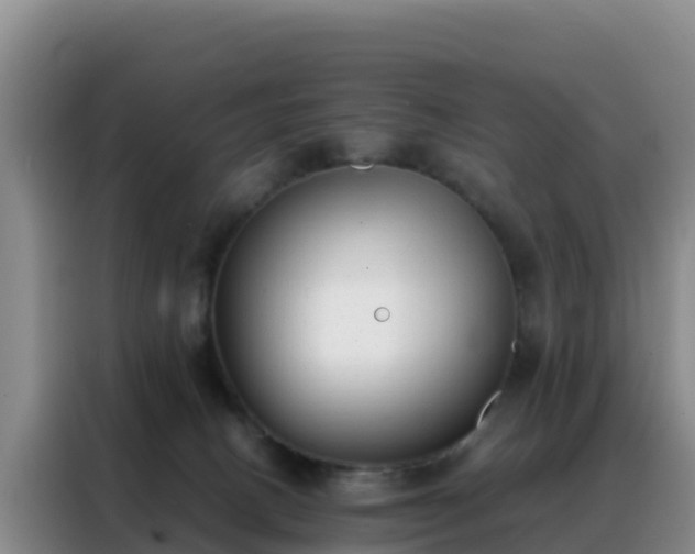 X0000088150082200705211205