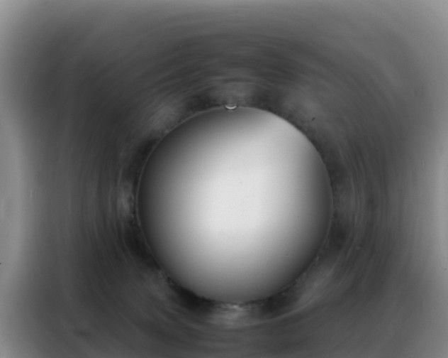 X0000088150083200705211205