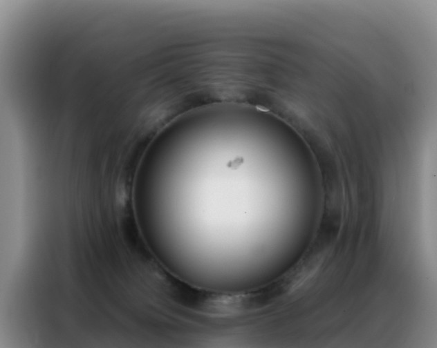 X0000088150084200705211205