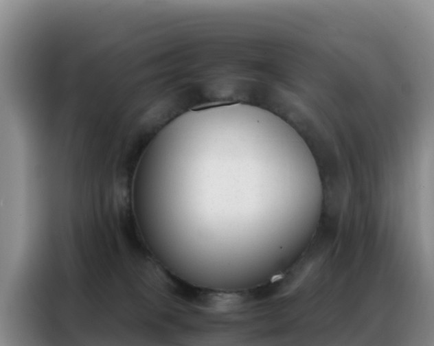 X0000088150085200705211205