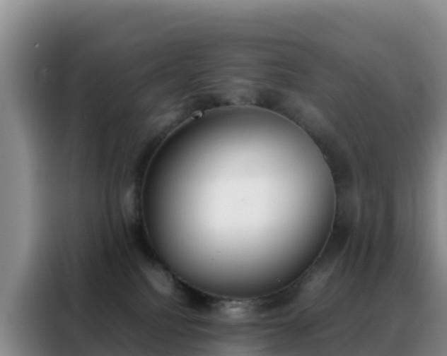 X0000088150088200705211205