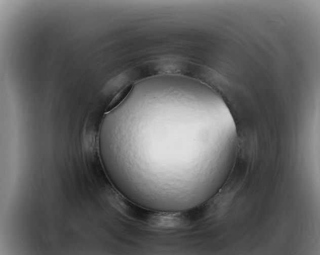 X0000088150093200705211205