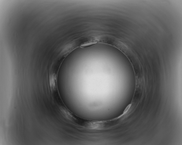 X0000088150094200705211205