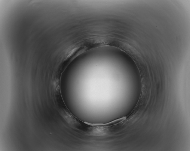 X0000088150096200705211205