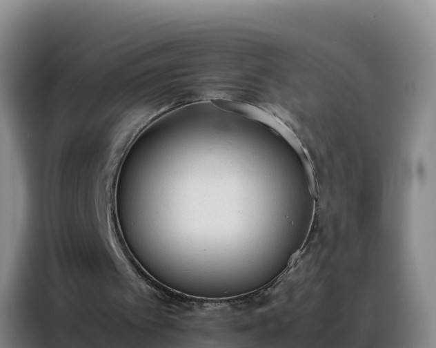 X0000088150097200705211204