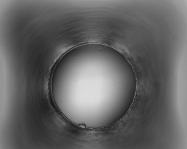 X0000088150098200705211204