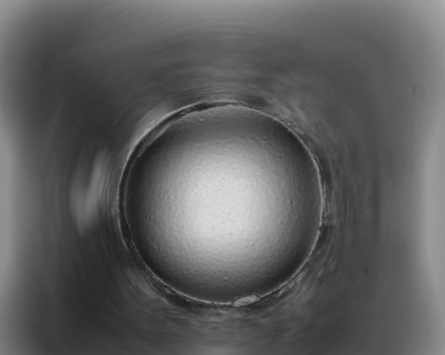 X0000088150099200705211204