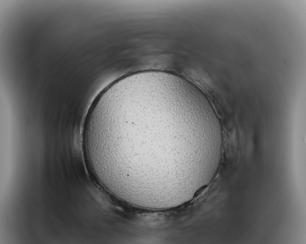 X0000088150100200705211204