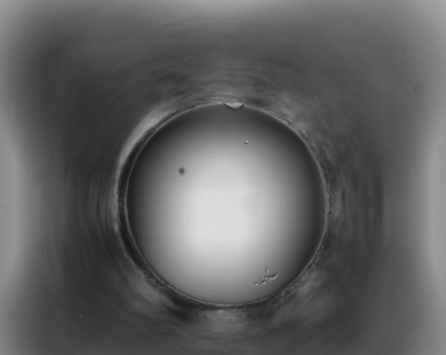 X0000088150102200705211204