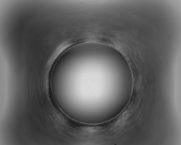 X0000088150103200705211204