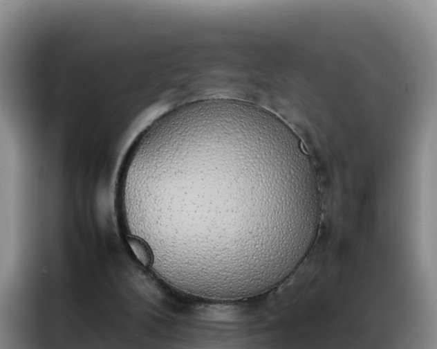 X0000088150104200705211204