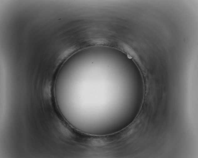 X0000088150106200705211204