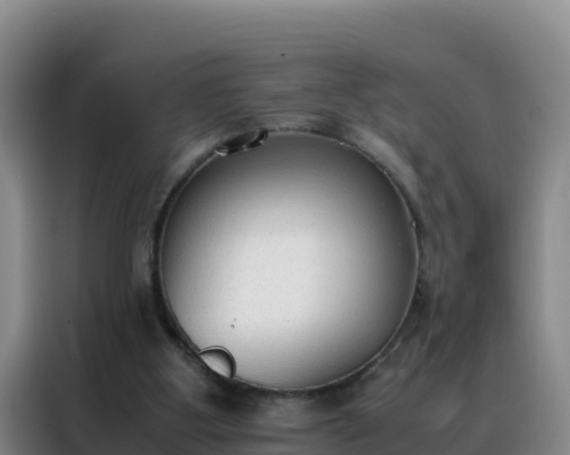 X0000088150107200705211204