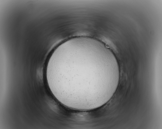 X0000088150108200705211204