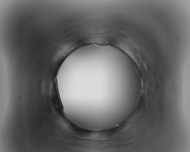 X0000088150109200705211204