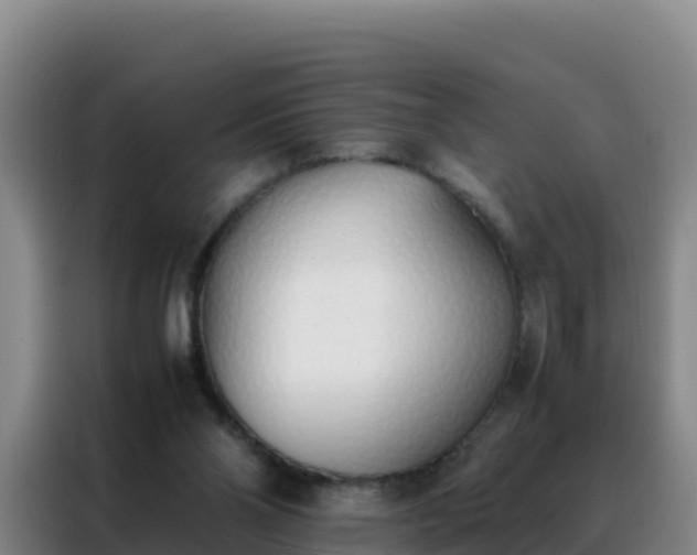 X0000088150110200705211204