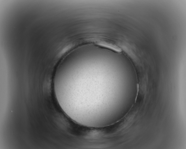 X0000088150111200705211204