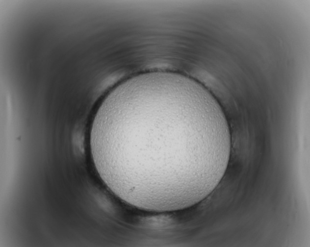 X0000088150112200705211204