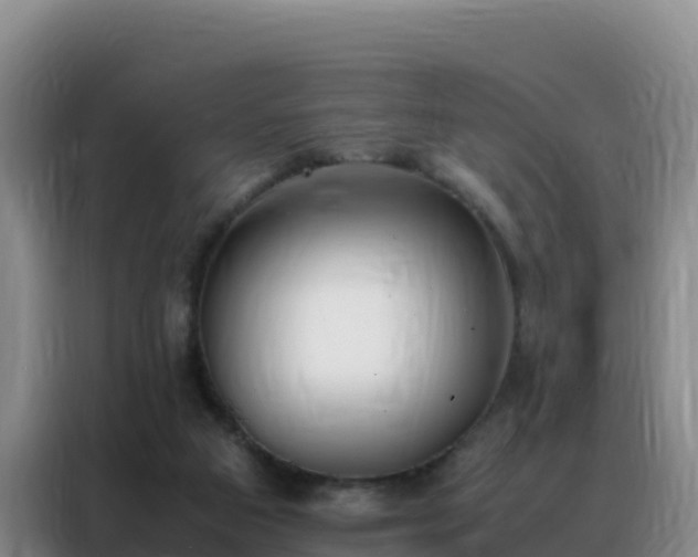 X0000088150113200705211204