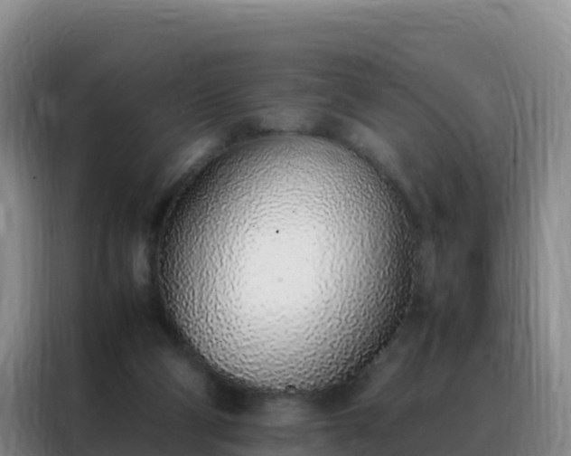 X0000088150114200705211204