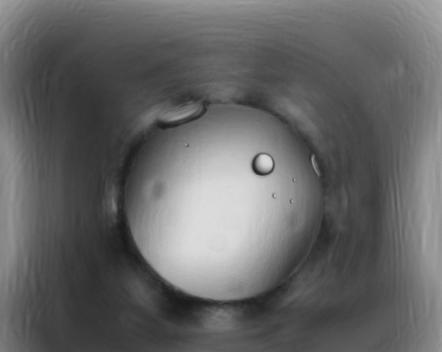 X0000088150115200705211204