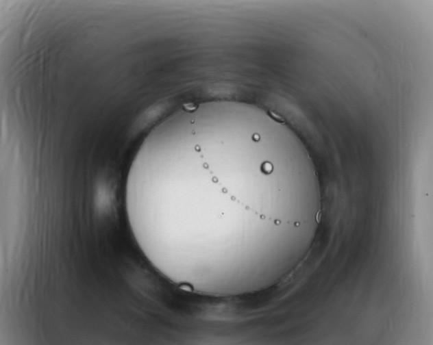 X0000088150116200705211204