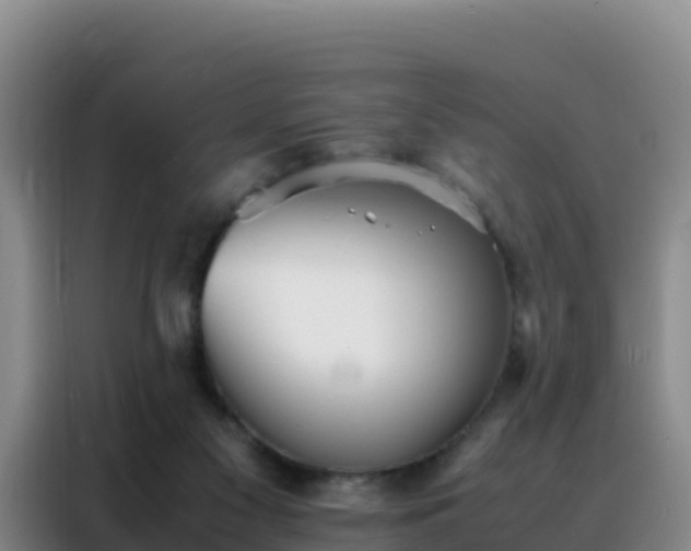 X0000088150117200705211204