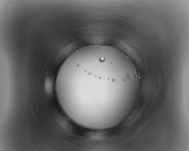 X0000088150118200705211204