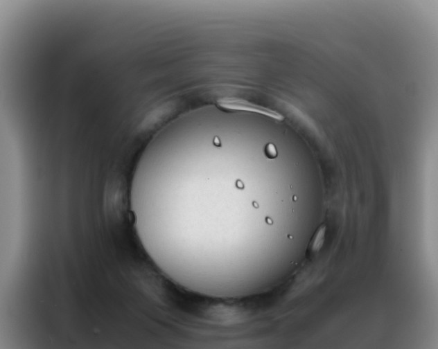 X0000088150119200705211204