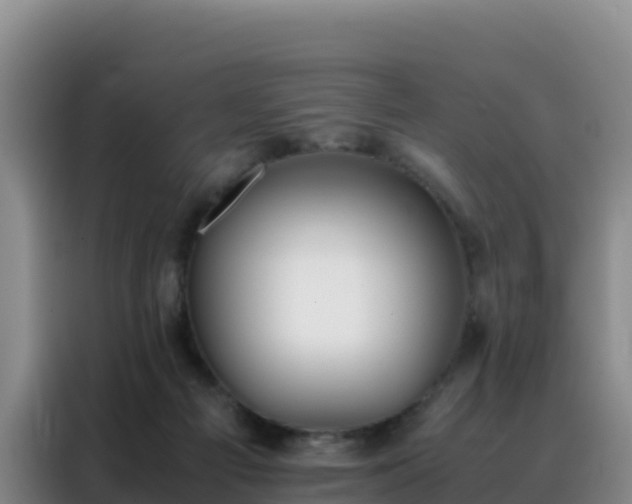 X0000088150121200705211204