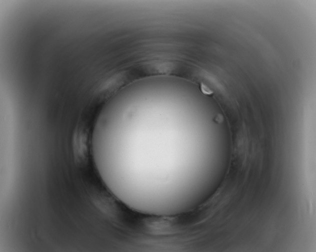 X0000088150122200705211204