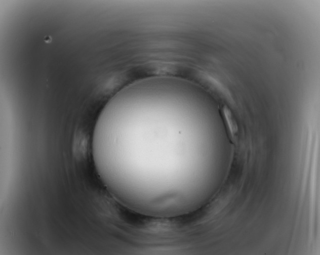 X0000088150123200705211204